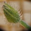 Img.VTax2367.Ex3.Img3