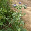 Img.VTax2376.Ex1.Img5