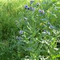 Img.VTax2376.Ex1.Img6