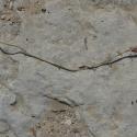 Img.VTax2400.Ex1.Img6