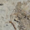 Img.VTax2400.Ex1.Img7