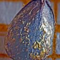Img.VTax2416.Ex2.Img6