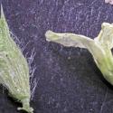 Img.VTax2416.Ex2.Img7