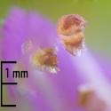 Img.VTax2425.Ex1.Img1