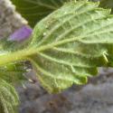 Img.VTax2428.Ex2.Img8