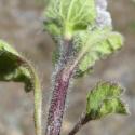 Img.VTax2449.Ex1.Img6