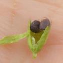 Img.VTax2451.Ex2.Img3