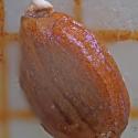 Img.VTax2464.Ex4.Img3