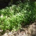 Img.VTax2562.Ex2.Img1