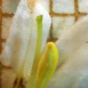 Img.VTax2567.Ex2.Img12