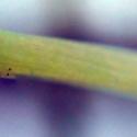 Img.VTax2567.Ex2.Img2