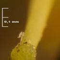Img.VTax2567.Ex2.Img3