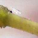Img.VTax2567.Ex2.Img9
