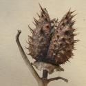 Img.VTax2573.Ex1.Img9