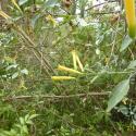 Img.VTax2575.Ex1.Img3