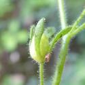 Img.VTax2636.Ex2.Img8