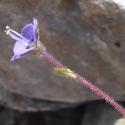 Img.VTax2653.Ex1.Img5