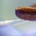 Img.VTax2656.Ex1.Img4