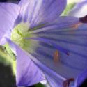 Img.VTax2656.Ex1.Img6