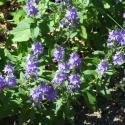 Img.VTax2656.Ex1.Img8