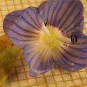 Img.VTax2673.Ex2.Img4