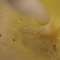 Img.VTax2673.Ex2.Img6