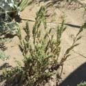 Img.VTax2809.Ex1.Img6