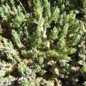Img.VTax2809.Ex1.Img8