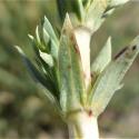 Img.VTax2809.Ex1.Img9