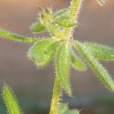 Img.VTax2821.Ex1.Img4