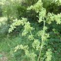 Img.VTax2821.Ex1.Img6