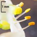 Img.VTax2823.Ex1.Img1