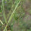Img.VTax2848.Ex1.Img4
