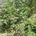 Img.VTax2861.Ex2.Img1