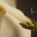 Img.VTax2862.Ex4.Img4