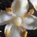 Img.VTax2862.Ex4.Img9