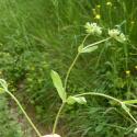 Img.VTax2882.Ex1.Img1