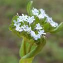 Img.VTax2882.Ex1.Img5