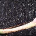 Img.VTax2911.Ex2.Img11