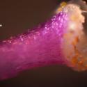 Img.VTax2911.Ex2.Img3