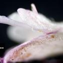 Img.VTax2921.Ex3.Img8