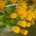 Img.VTax2979.Ex3.Img6
