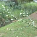 Img.VTax2991.Ex2.Img1