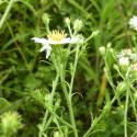 Img.VTax3000.Ex2.Img6