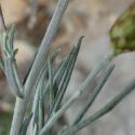 Img.VTax3038.Ex2.Img6