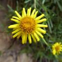 Img.VTax3041.Ex2.Img6