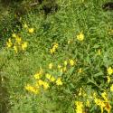 Img.VTax3070.Ex1.Img9
