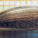 Img.VTax3071.Ex2.Img5