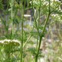 Img.VTax3105.Ex1.Img8