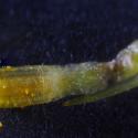 Img.VTax3125.Ex2.Img6